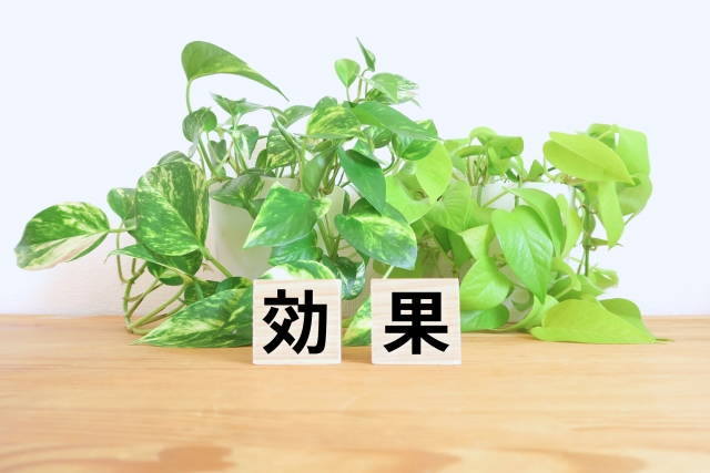 効果と書かれた積み木